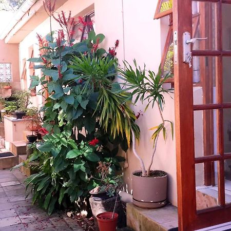 איסט לונדון Hoylake Inn מראה חיצוני תמונה